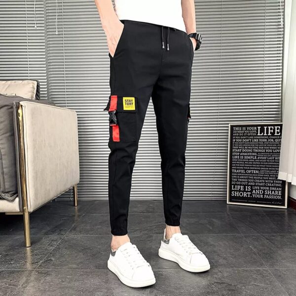 Stylish Trouser For Men  26747