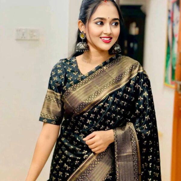 Japani Silk Sharee with Blouse Piece - 28183