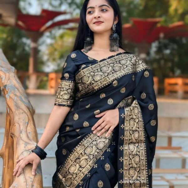 Japani Silk Skin Print Sharee with Blouse Piece - 27789