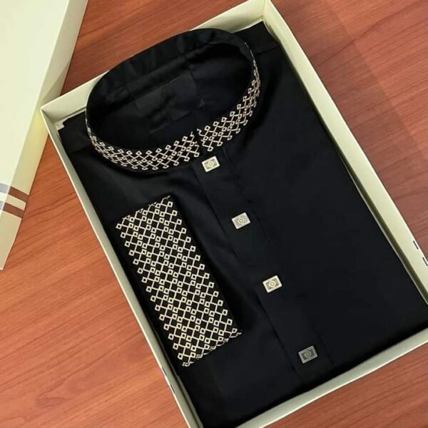 Stylist Panjabi