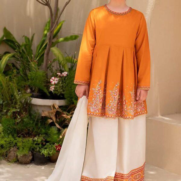 Diamond Georgette Three Piece-42047