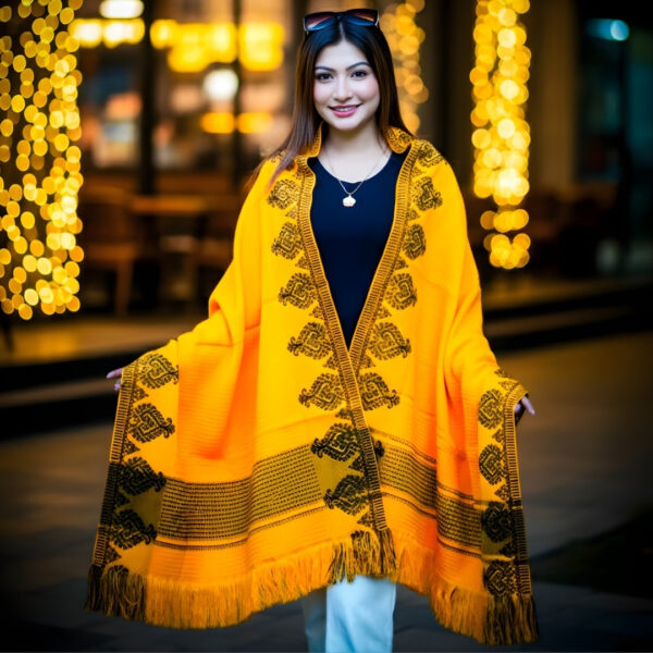 Premium Stylish Shall Chador