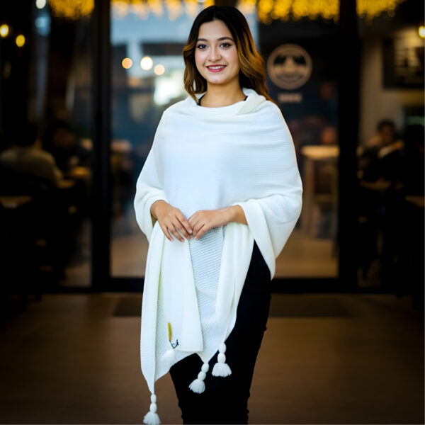 Premium Woolen Shawl
