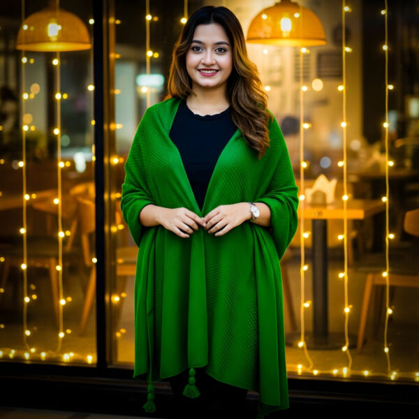 Premium Woolen Shawl